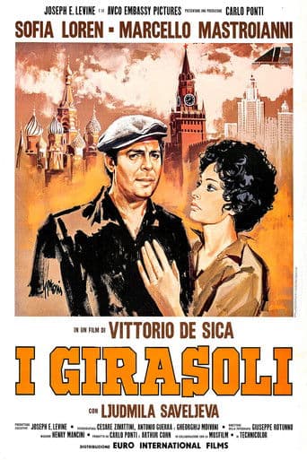 Florile-soarelui