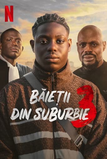 Băieții din suburbie 3