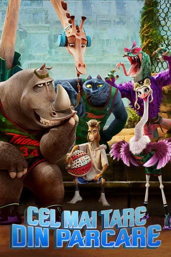 Cel mai tare din parcare